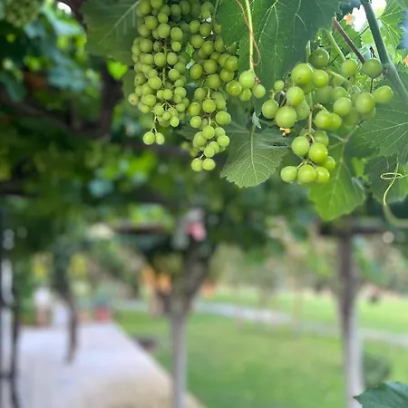 Li Papi Dom wakacyjny Galatone