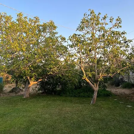 Li Papi Dom wakacyjny