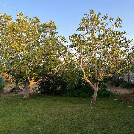 Li Papi Holiday home