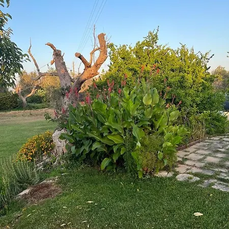 Li Papi * 갈라토네