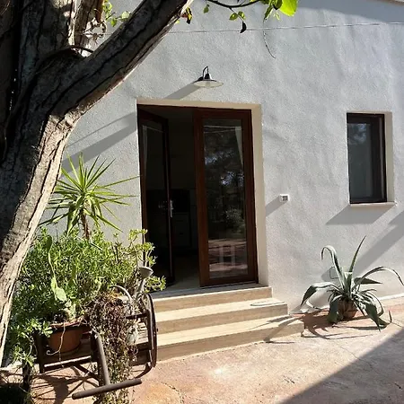 Li Papi 갈라토네