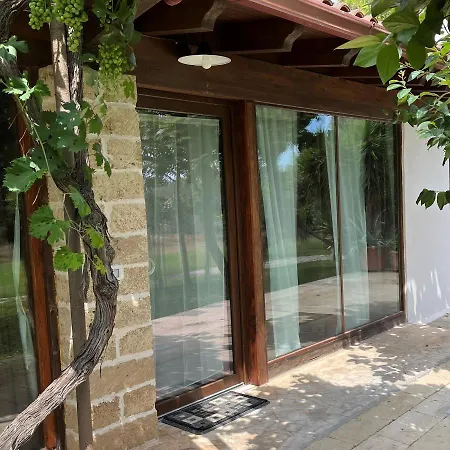 Li Papi * 갈라토네