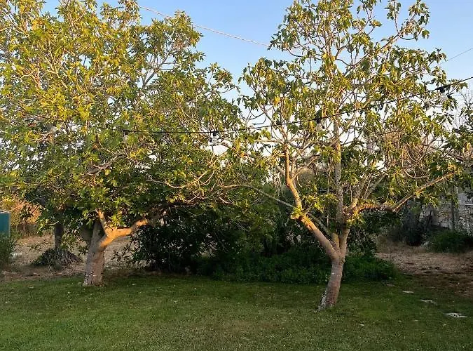 Li Papi בית נופש