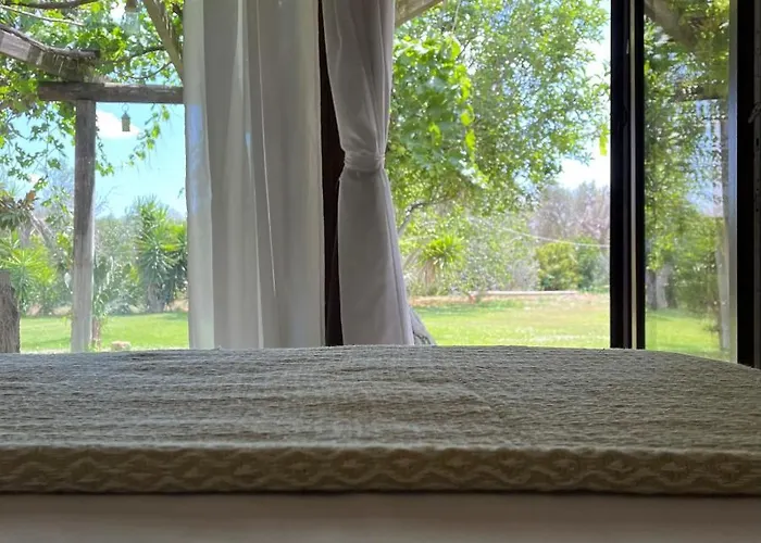 Li Papi * גלטונה